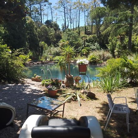 Chambre Studio Verparadis Mourèze エクステリア 写真