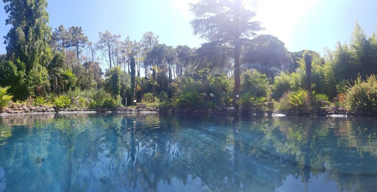 Chambre Studio Verparadis Mourèze エクステリア 写真